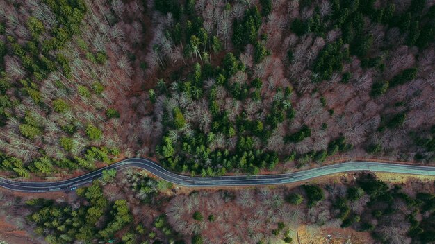 Vista aérea de una carretera sinuosa rodeada de árboles y verdes