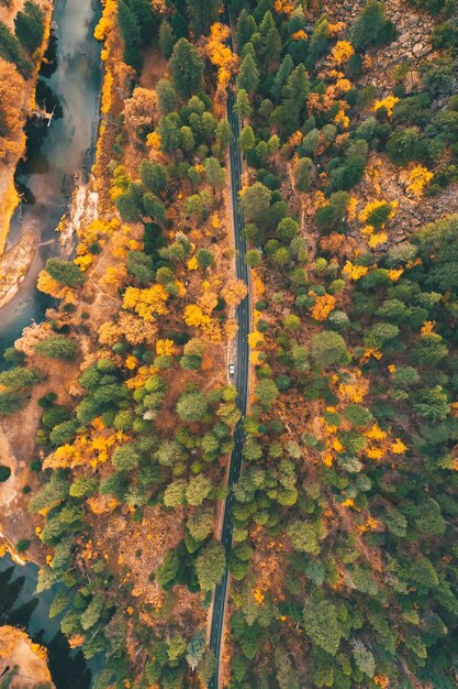 Vista aérea de una carretera a través de la colorida naturaleza salvaje en otoño