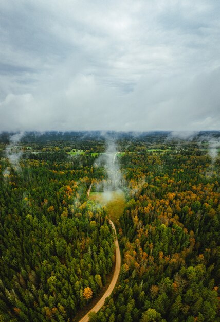 Vista aérea de una carretera a través de un denso bosque en un día de otoño
