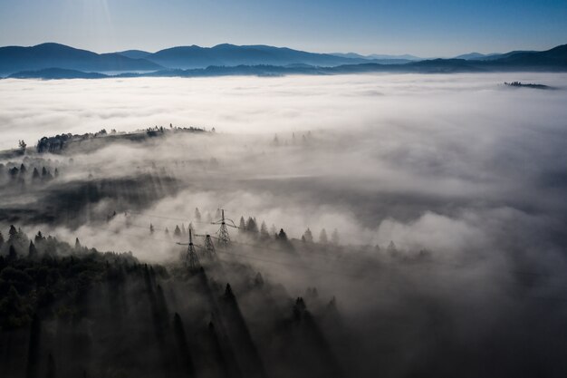 Vista aérea del colorido bosque mixto envuelto en la niebla de la mañana en un hermoso día de otoño