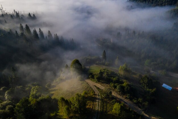 Vista aérea del colorido bosque mixto envuelto en la niebla de la mañana en un hermoso día de otoño