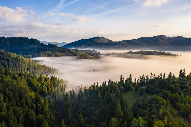 Vista aérea del colorido bosque mixto envuelto en la niebla de la mañana en un hermoso día de otoño