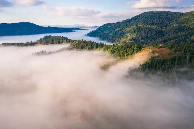 Vista aérea del colorido bosque mixto envuelto en la niebla de la mañana en un hermoso día de otoño