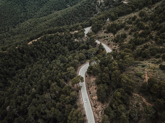 Vista aérea de la conducción de automóviles en el camino a través del bosque