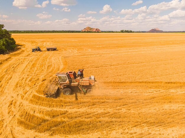 Vista aérea de la cosecha de verano Cosechadora cosechando campo grande