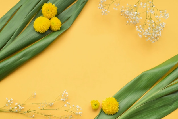 Foto gratuita vista aérea de crisantemo y flores comunes de respiración del bebé con hojas verdes sobre fondo amarillo