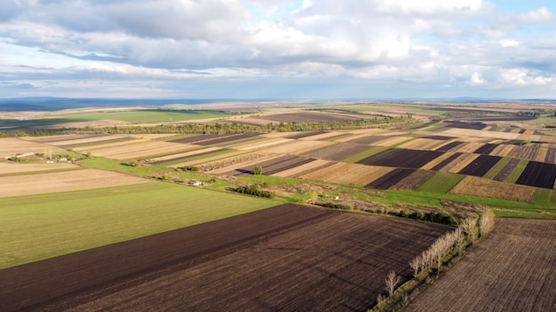 Vista aérea de drone de la naturaleza en Moldavia, campos sembrados, filas de árboles, cielo nublado