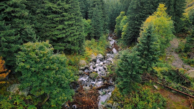 Vista aérea de drones de la cascada de Balea en Rumania