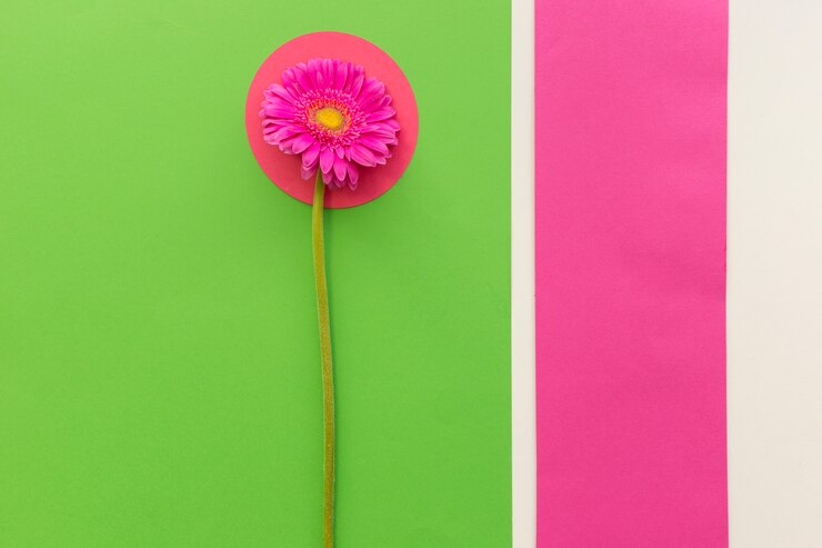 Foto gratuito vista aérea de flor rosa gerbera sobre papeles multicolores