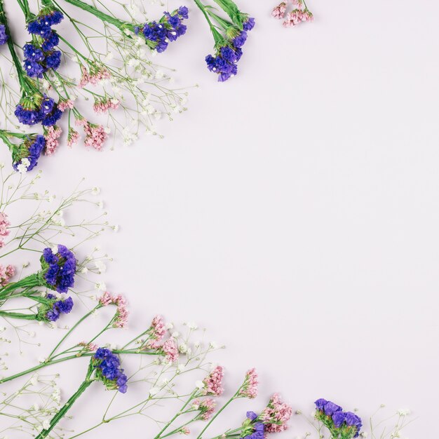 Una vista aérea de flores de limonium y gypsophila hermosas frescas aisladas sobre fondo blanco con espacio de copia de texto