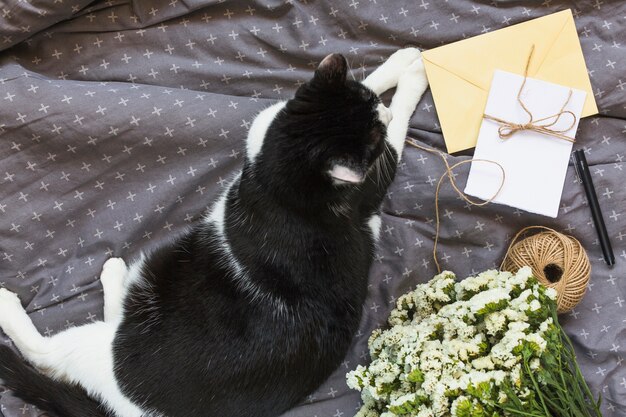 Una vista aérea del gato sentado cerca de las tarjetas de felicitación; carrete de hilo; pluma y ramo de flores en ropa gris