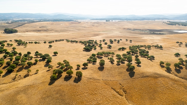 Vista aérea de hermosas colinas