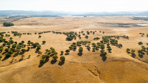 Vista aérea de hermosas colinas