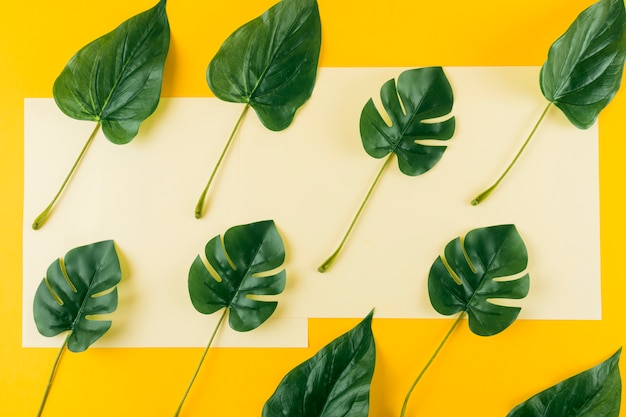 Foto gratuita vista aérea de hojas artificiales sobre papel y fondo amarillo.