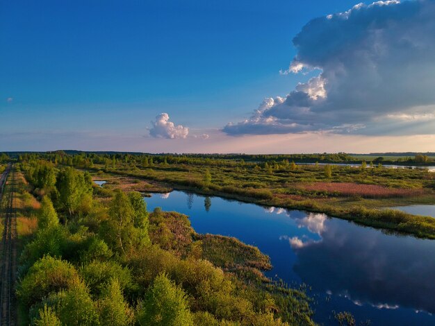 Vista aérea de un lago con árboles verdes