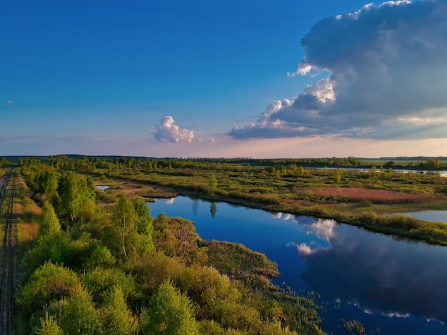 Vista aérea de un lago con árboles verdes