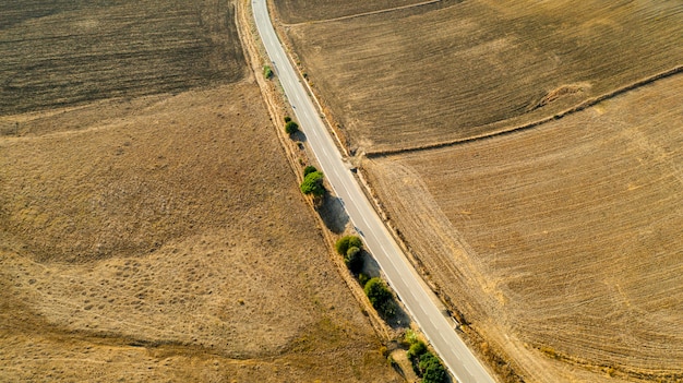 Vista aérea del largo camino con árboles