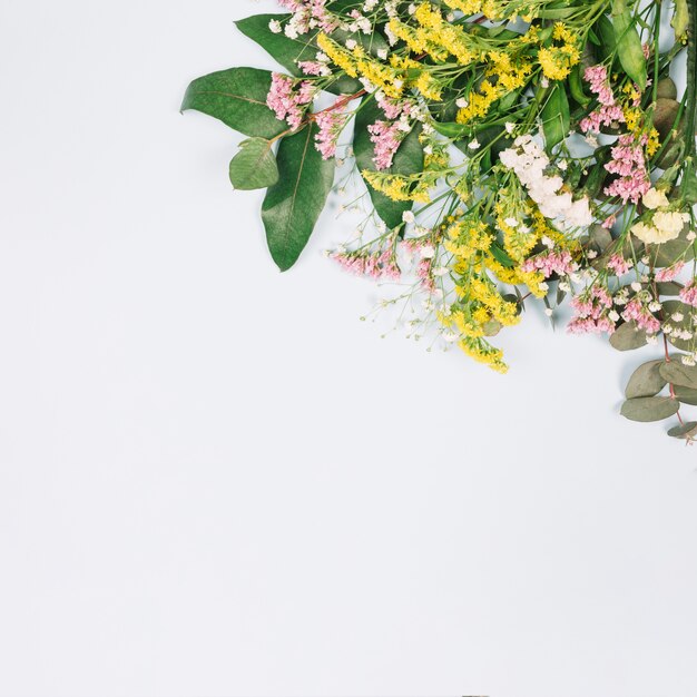 Una vista aérea de limonium y varas de oro amarillas o flores de solidago gigantea aisladas sobre fondo blanco