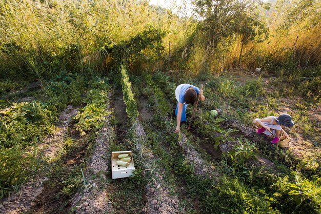 Una vista aérea de la madre y su hija cosechando vegetales en el campo