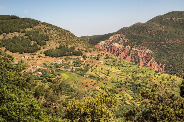 Vista aérea de montañas cubiertas de árboles y vegetación.