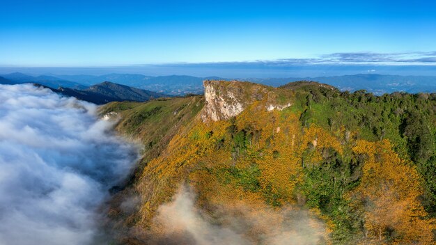 Vista aérea de las montañas de Phu chi fa con flor mexicana en Chiang rai, Tailandia