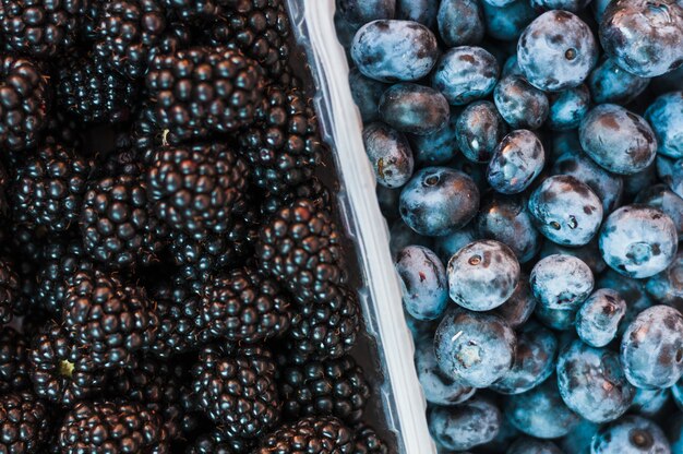 Una vista aérea de moras y arándanos