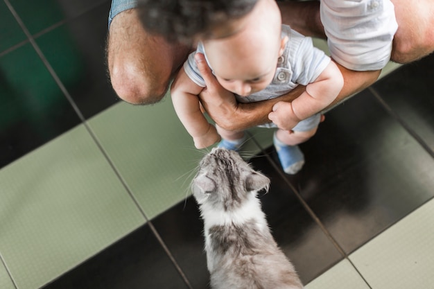 Una vista aérea del padre sosteniendo a su bebé frente al gato