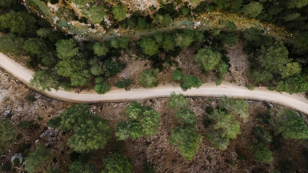 Vista aérea del paisaje de los bosques.