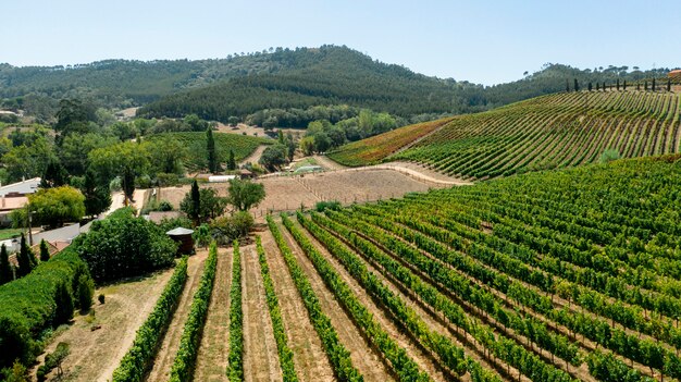 Vista aérea del paisaje de campos de cultivos rurales