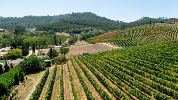 Vista aérea del paisaje de campos de cultivos rurales