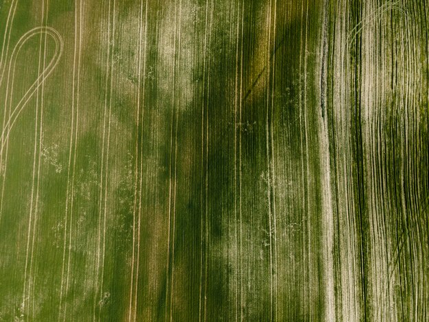 Vista aérea del paisaje de la naturaleza.