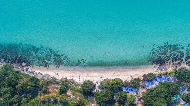 Vista aérea de la playa de arena con turistas nadando.