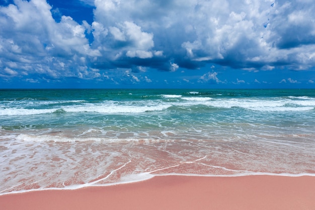 Vista aérea de la playa rosa y las olas del mar azul.