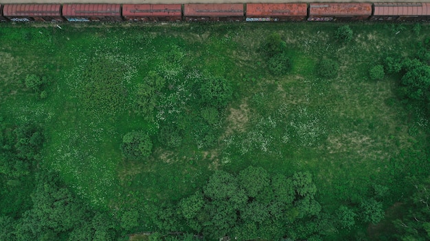 Foto gratuita vista aérea, de, pradera