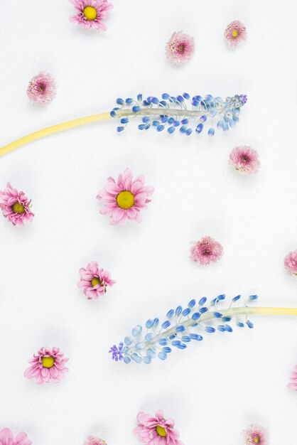 Una vista aérea de rímel púrpura y estampado de flores rosa sobre fondo blanco