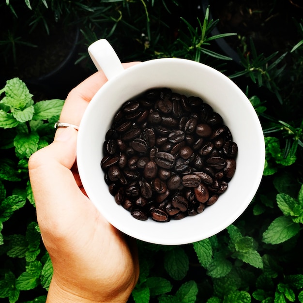 Foto gratuita vista aérea de la taza de granos de café