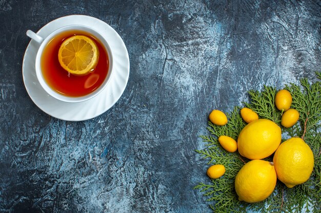 Vista aérea de una taza de té negro con limón y colección de frutas cítricas en ramas de abeto sobre fondo oscuro