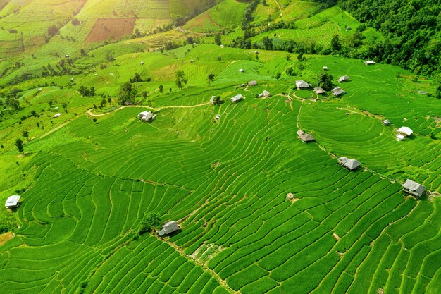 Vista aérea de la terraza de arroz en Ban pa bong piang en Chiang mai, Tailandia