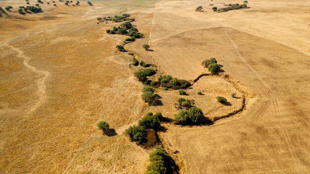 Vista aérea de tierra firme