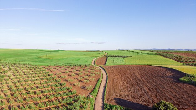 Vista aérea de vastas tierras de cultivo con un camino rural en el medio