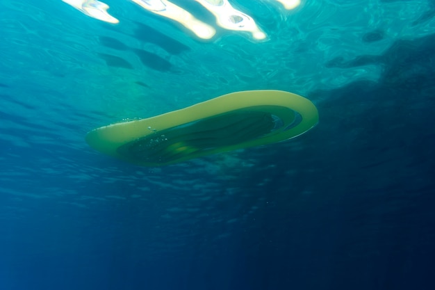 Foto gratuita vista al mar bajo el agua