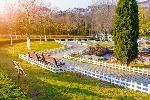 Foto gratuita vista al parque verde