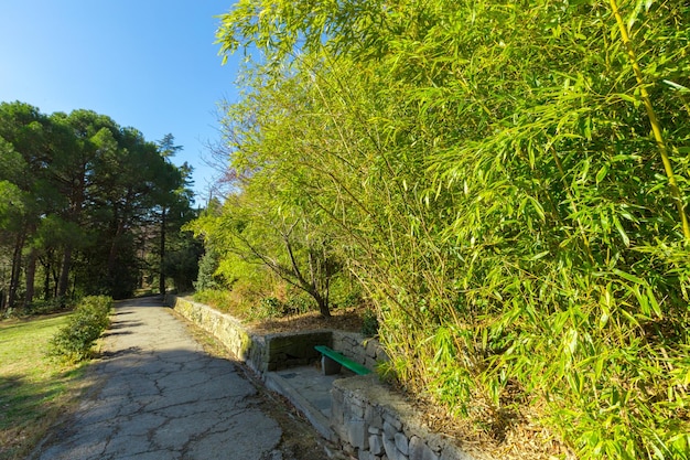 Vista al parque