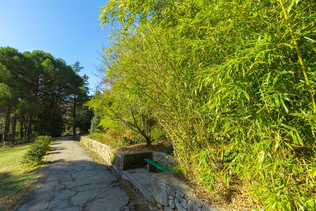 Vista al parque