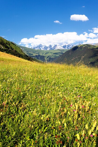 Vista de los Alpes de Saboya-Europa