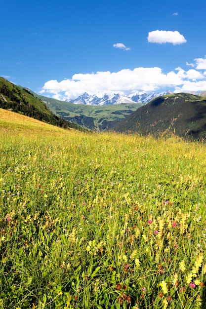 Vista de los Alpes de Saboya-Europa