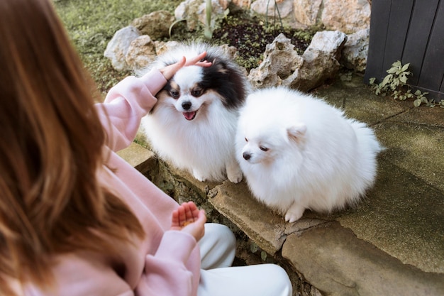 Vista alta de niña y cachorros blancos lindos