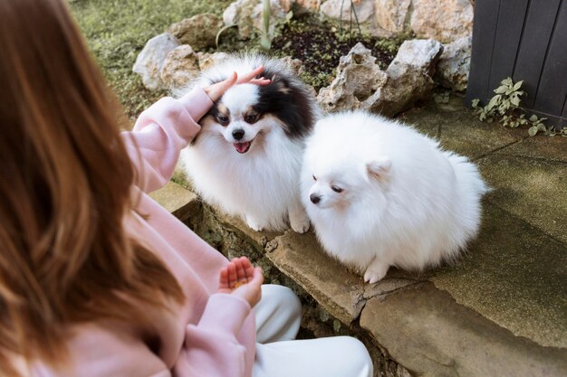 Vista alta de niña y cachorros blancos lindos