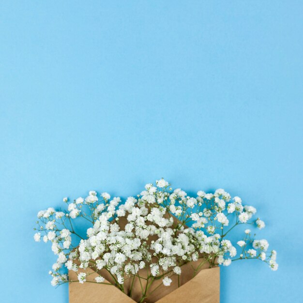 La vista de alto ángulo de las flores de la respiración del bebé blanco con marrón envuelve contra fondo azul