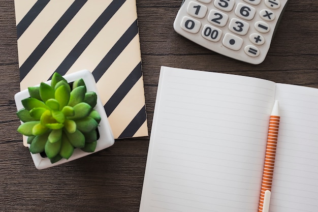 Vista de alto ángulo de la pluma; cuaderno; calculadora y planta en maceta sobre fondo de madera